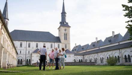 visite <br />
 